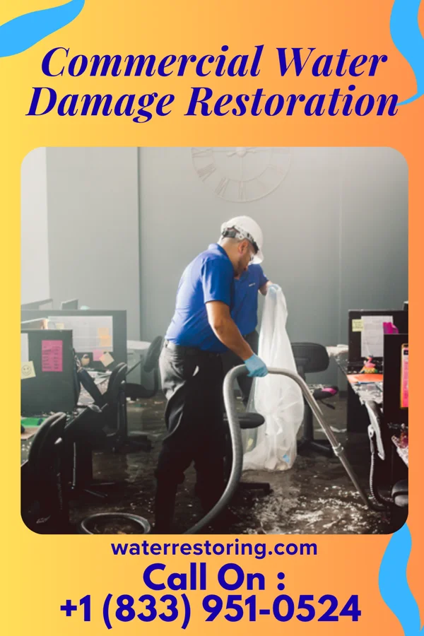 Commercial Water Damage Restoration in Bloomfield, NM